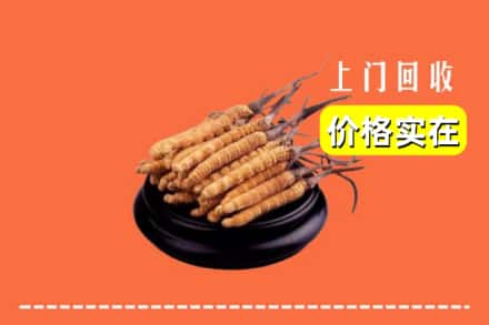 七台河茄子河区回收冬虫夏草