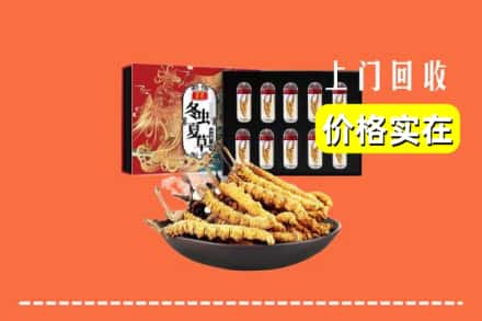 七台河茄子河区回收虫草